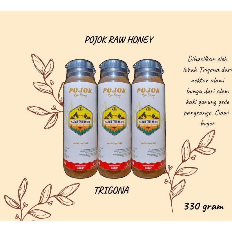 Madu Trigona/Madu Murni Lebah Trigona 330 gram